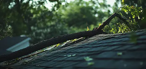 Tree & Debris Damaged Roof | Apex General Contracting