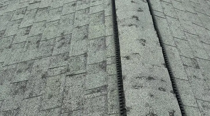 Do I Need Storm Damage Roof Repair? | Apex General Contracting