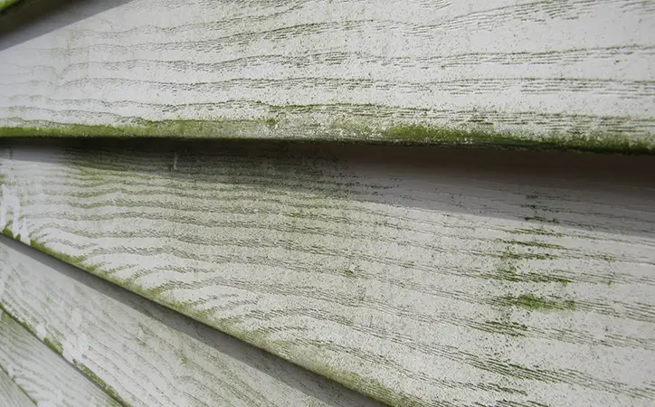 Signs You May Need New Siding | Apex General Contracting