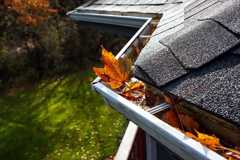 Spring Cleaning & Roof Maintenance | Apex General Contracting