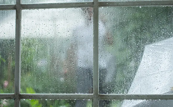 Windows & Exterior Storm Damage | Apex General Contracting